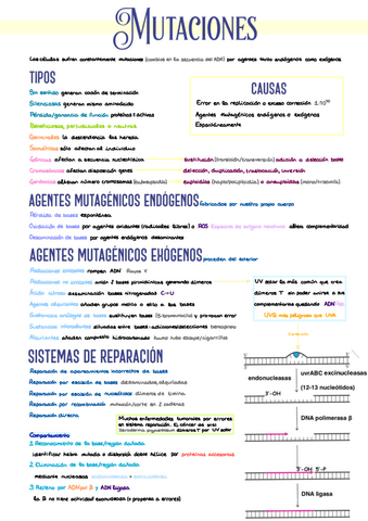 19.-Mutaciones-y-PREGUNTAS.pdf