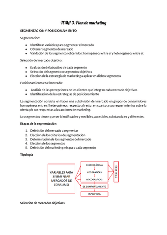 TEMA-3.-plan-de-marketing.pdf