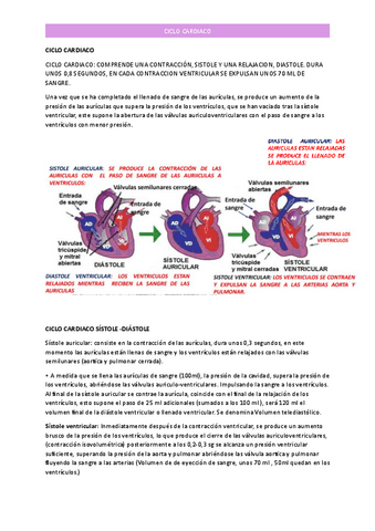 CARDIO-7.pdf