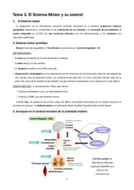 MT3. Sistema motor y su control.pdf