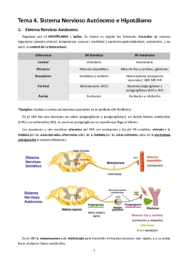 MT4. Sistema Nervioso Autónomo e Hipotálamo.pdf