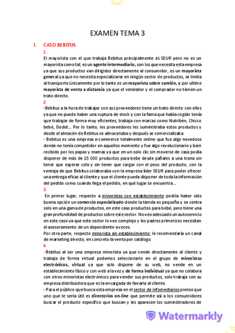 EXAMEN-TEMA-2-3.pdf