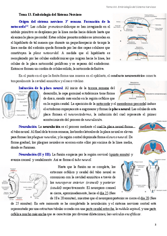 Tema-13.-Embriologia-del-Sistema-Nervioso.pdf