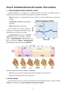 MT8. Actividad eléctrica del corazón. Ciclo cardíaco.pdf