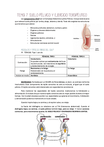 T7-Suelo-pelvico-y-ejercicio-tpco.pdf