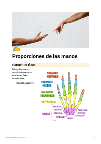 Proporciones-de-las-manos.pdf