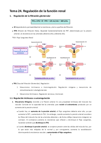 MT24. Regulación de la función renal.pdf