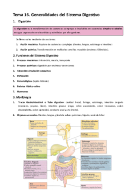 MT16. Generalidades del Sistema Digestivo .pdf