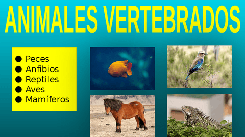 Animales-vertebrados.pdf