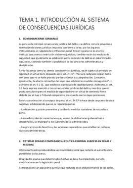 TEMA 1.pdf