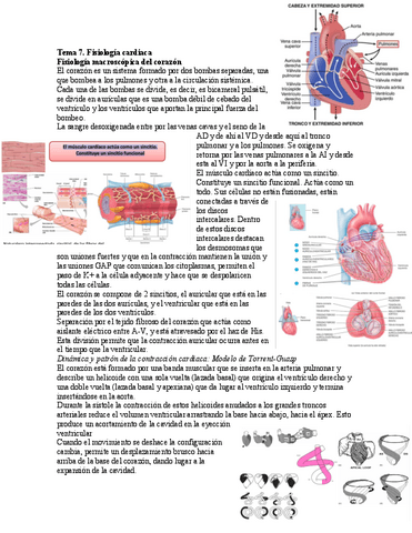 Tema-7.-Fisiologia-cardiaca.pdf