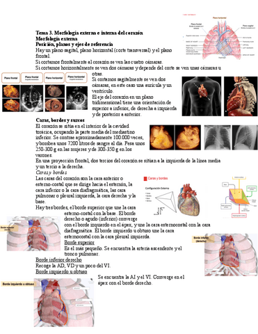 Tema-3.-Morfologia-externa-e-interna-del-corazon.pdf