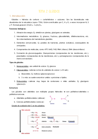 MBQ. T2. Glúcidos.pdf