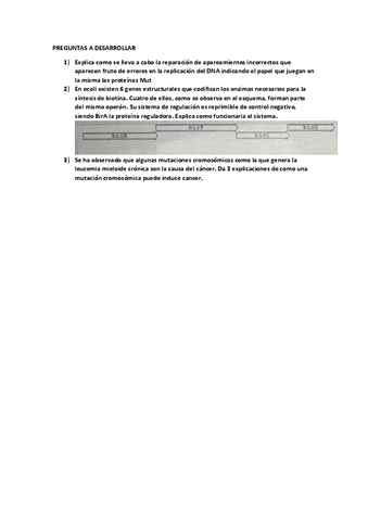 EXAMEN-PREGUNTAS-A-DESARROLLAR.pdf