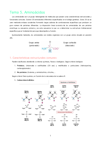 MBQ. T5. Aminoácidos y proteínas.pdf