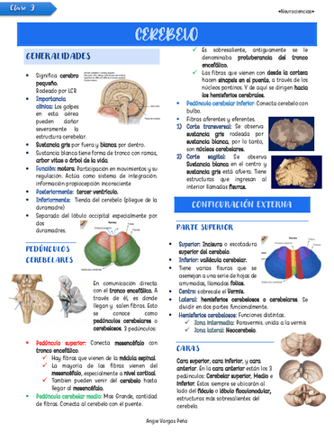 Clase-9-Cerebelo.pdf