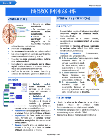 Clase-10-Nucleos-basales.pdf