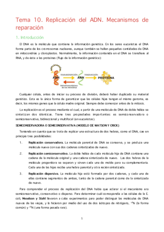 MBQ. T10. Replicación del ADN.pdf