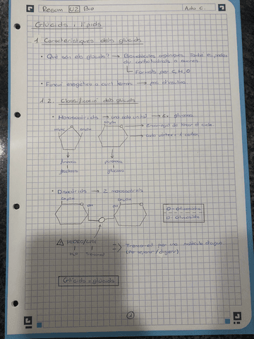 Glucids-i-lipids resum.pdf