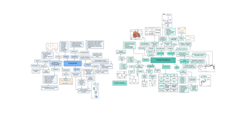 Proteines-i-acids-nucleics esquema.pdf