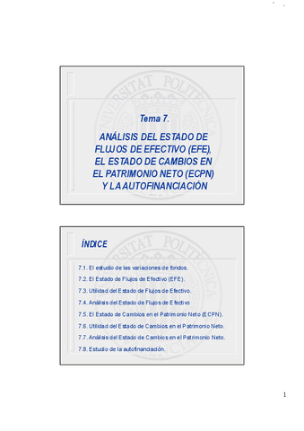 Tema-7.-Analisis-del-EFE-y-ECPN.pdf
