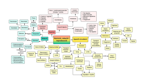Nutricio-relacio-i-reproduccio-esquema.pdf