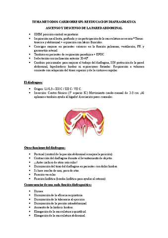 MET-CARDIORRESPI-DIAFRAGMA.pdf