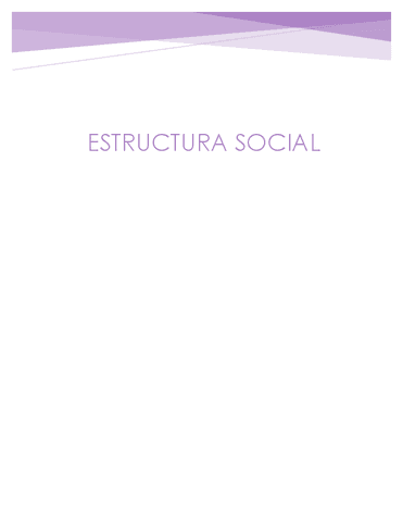 estructura-social.pdf