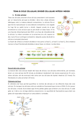 TEMA-8-CICLE-CELLULAR-DIVISIO-CELLULAR-MITOSI-I-MEIOSI.pdf