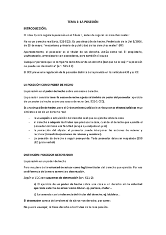 Tema-5la-posesion.pdf