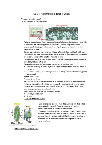 Lesson-0-Photosynthesis.pdf
