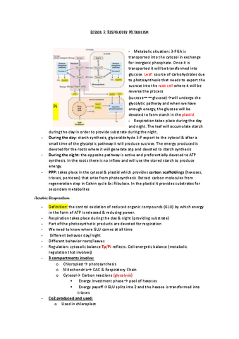 Lesson-3-respiratory-metabolism.pdf