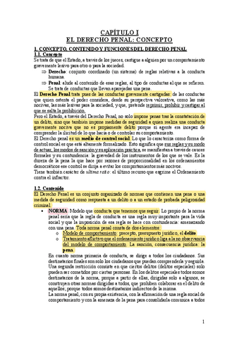 APUNTES DERECHO PENAL entero.pdf