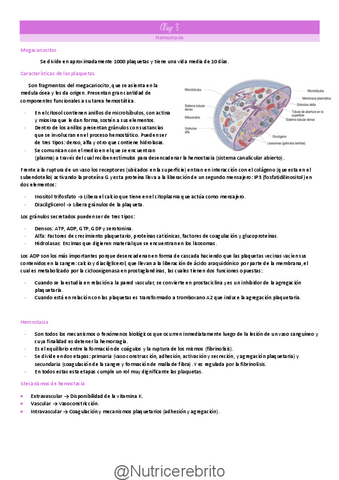 Clase-3-Hemostasia-e-inmunidad-Nutricerebrito.pdf