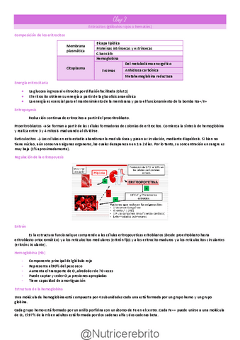 Clase-2-Hierro-acido-folico-b12-grupos-sanguineos-Nutricerebrito.pdf