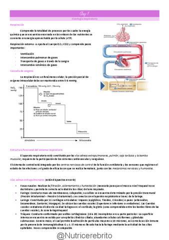 Clase-7-Fisiologia-respiratoria-mecanica-ventilatoria-Nutricerebrito.pdf