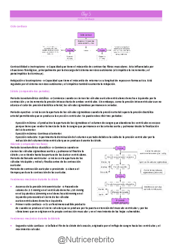 Clase-5-Ciclo-cardiaco-Nutricerebrito.pdf