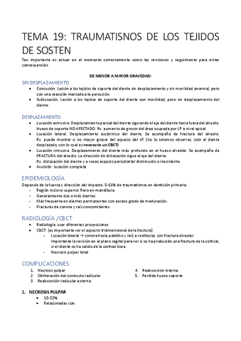 TEMA-19-PTD-W.pdf