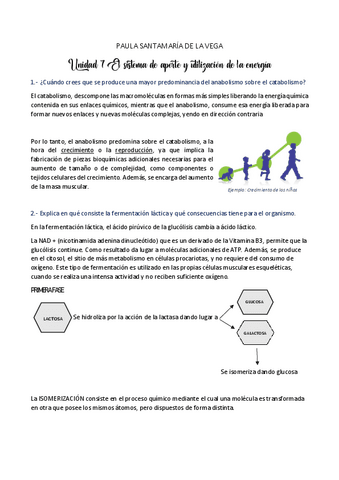 Sistema-y-utilizacion-de-la-energia.pdf