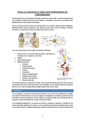 Tema-5.2-Sistema-endocrino-vertebrados.pdf