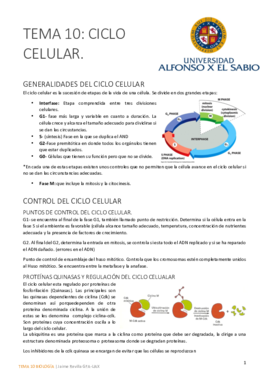 Tema 10 bueno.pdf