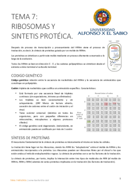 Tema 7 bueno.pdf