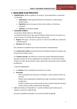 TEMA 4 EQUILIBRIO HIDROELECTRICO.pdf