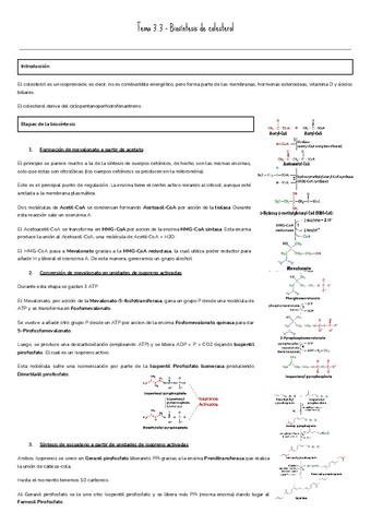 Tema-3.3-Sintesis-de-colesterol.pdf