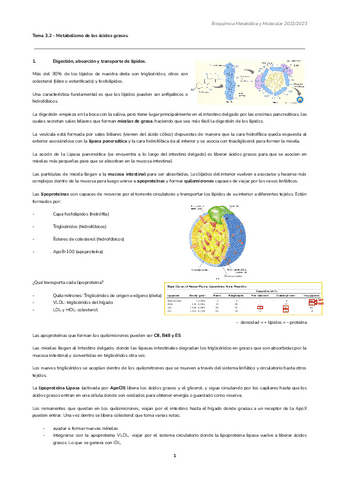 Tema-3.2-Metabolismo-de-los-acidos-grasos.-1.pdf