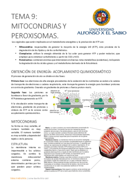 Tema 9 bueno.pdf