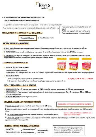 Tema-5-parte-2-primeros-auxilios.pdf