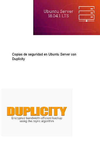 SOR-8.2.pdf