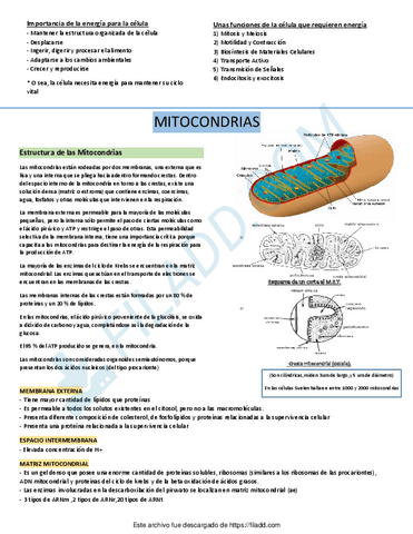 RESUMEN-DE-BIO-CELULAR-2DO-PARCIAL-UBA-XXI.pdf