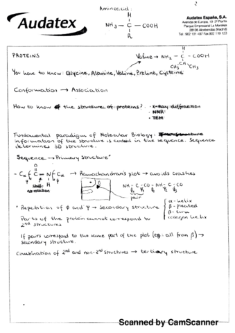 Apuntes y examenes.pdf